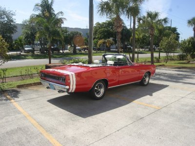 IMG_2808_rs.jpg