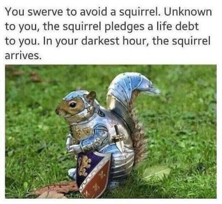 ba6f5546edc654e98f6e3a2927ef0544.jpg