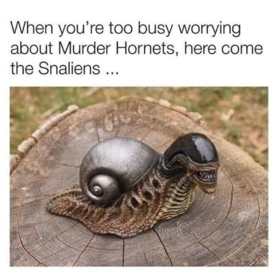 c5ea9ec219d64538edcba1f29e42170d.jpg