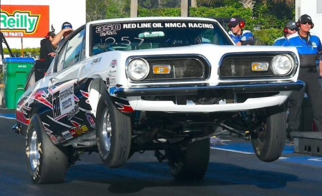 cuda-stocker (2).jpeg
