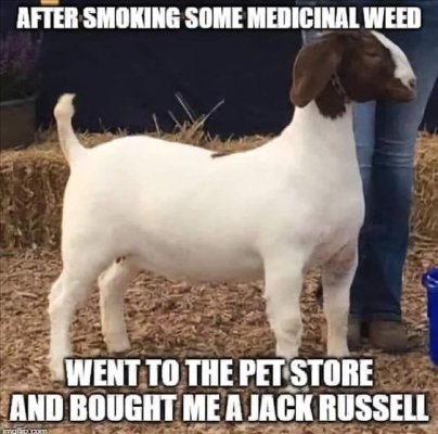 9aa6c50f20ce68e5b3b1ab1180b77fdc.jpg