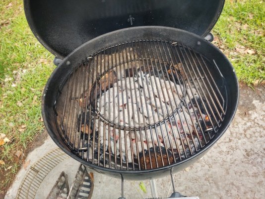 IMG_20230409_163449617_HDR.jpg