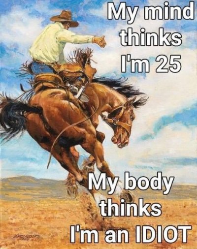 2fdb10919d3ca27dd02a0dc7d6c05c55.jpg