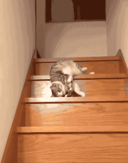 985cc4aa79c7dafcee6a489e7987568e.gif