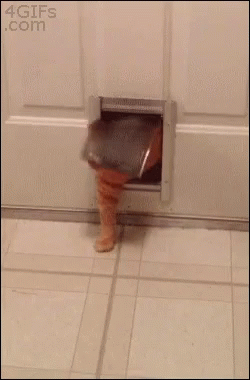 020566bc78b2bc710c6ed9b4d432080b.gif