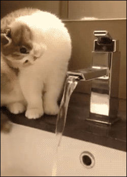 e6b1a3ac4bb54bd665f795be0ba8c479.gif