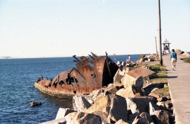 img797-1.jpg