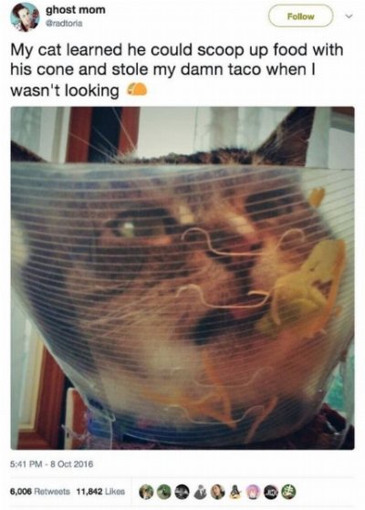 951f07c6e1e2af4f12c4c285af7c5a5f.jpg