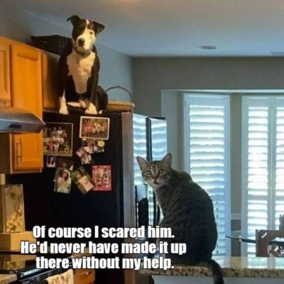 7ae9f1cdc57b3b537d6f31cf525e7d54.jpg