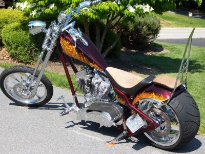 new springer 029.jpg