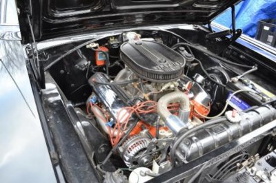 DSC_0167 (580x387).jpg DSC_0167 (580x387).jpg