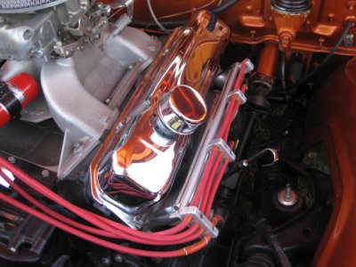 FuryIII WireLoomsZOOM.JPG FuryIII WireLoomsZOOM.JPG