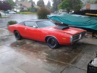 2014-04-04 11.40.59.jpg