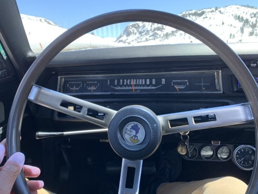 9576D901-BFCD-4186-91A1-D33A3C6653D5.jpeg 9576D901-BFCD-4186-91A1-D33A3C6653D5.jpeg