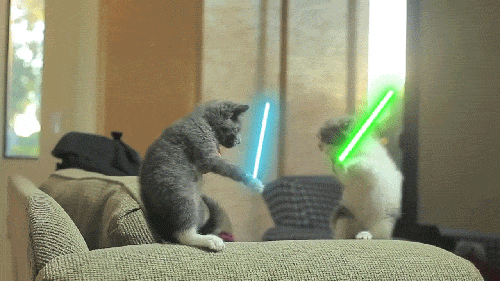 1682091450268.gif