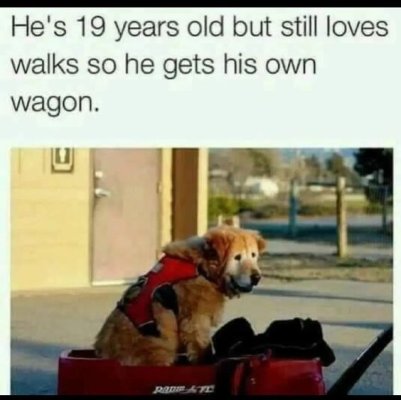 23938d5856370d697dc6ab3ff93fa72f.jpg