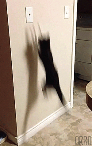 7223f242debe0af5ac2ab1b9b1dce93a.gif