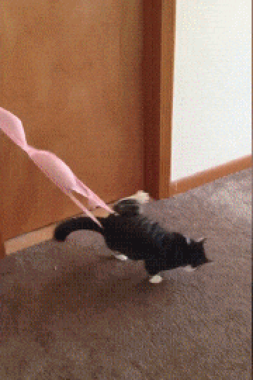 9ff94a9ee3f070aab42e0180bb40e0f9.gif