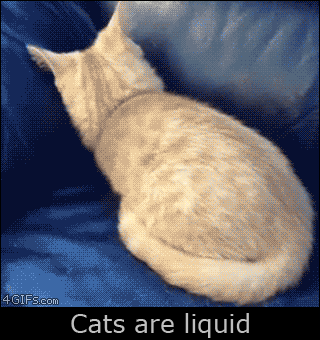 cd8cb073585744d451a13391461ad535.gif
