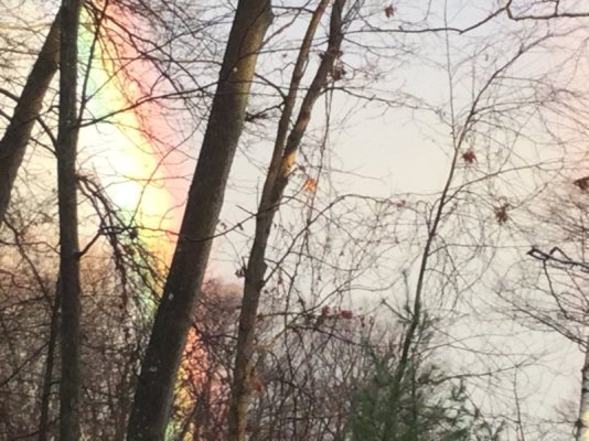 rainbow.jpg