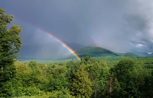 Rainbow.jpg