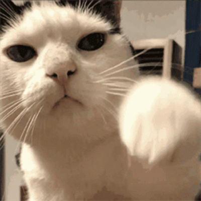 b565bd72e790101714b9a35fd490eec4.gif