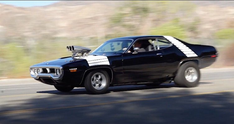 roadrunner.jpg
