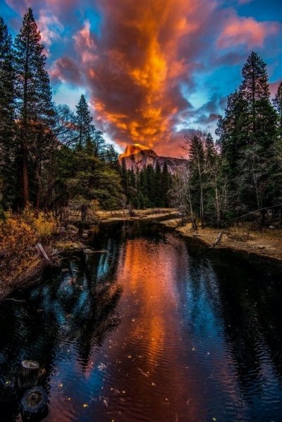 ys-are-pinning-on-pinterest-20200201-1004-684x1024.jpg
