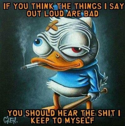 d5c66ec66960d4df4f0feb3618762d18.jpg