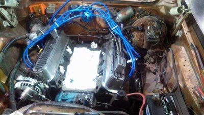 993089_10202325418831488_835316416_n.jpg 993089_10202325418831488_835316416_n.jpg