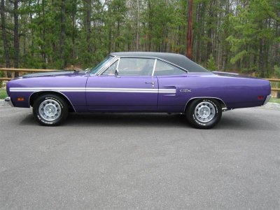 IMG_2977 (Large).jpg