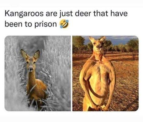 e664e9a5e22422ad3033e294b2b3a775.jpg
