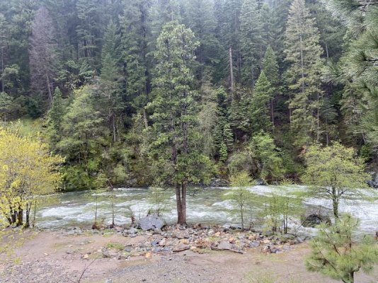 IMG_7718.JPEG IMG_7718.JPEG