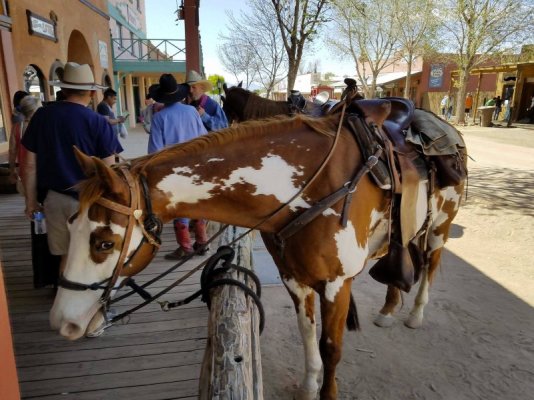 00000000 00 The Longhorn Restaurant - Tombstone, AZ 6.jpg
