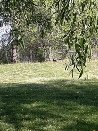 20230512_095321.jpg