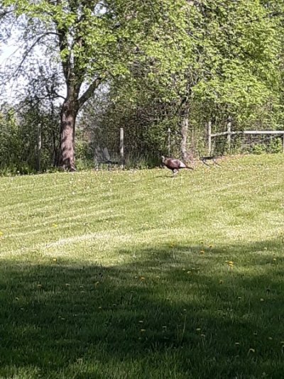 20230512_095518.jpg