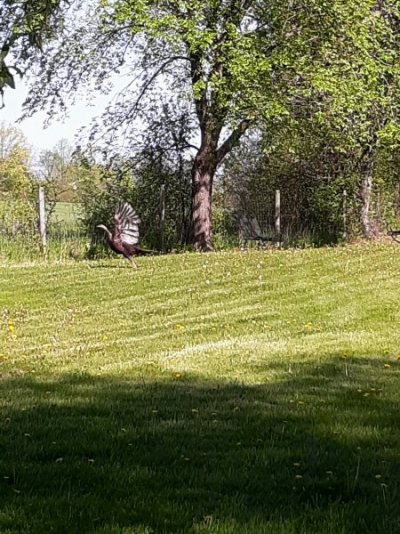 20230512_095528.jpg
