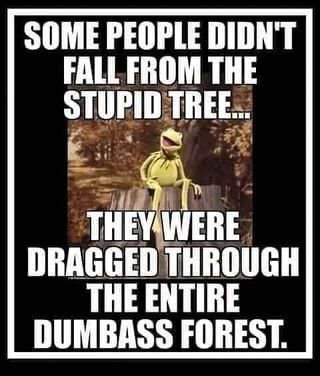 14a4014cb1c328635519b6edadb2a053.jpg