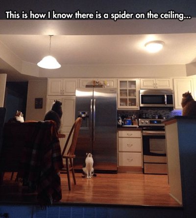 c5a83888a28f386ee86b4f785eeead85.jpg