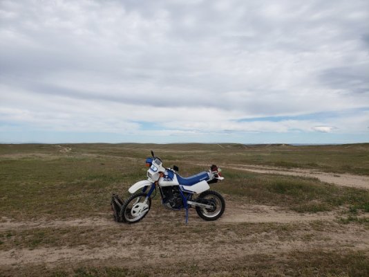 20230514_110525.jpg