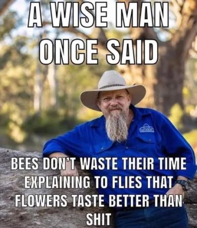 31fa65325a772a48d6b44c30bceb642e.jpg