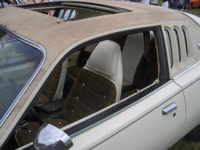 Moparfest 2010 019.jpg