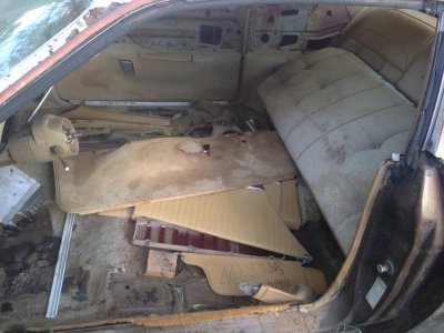 IMG_0402.jpg IMG_0402.jpg