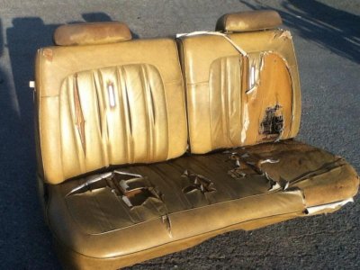 IMG_0299.jpg IMG_0299.jpg