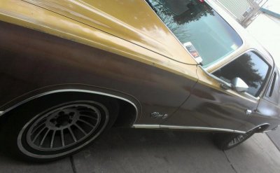 IMAG1315-1.jpg IMAG1315-1.jpg