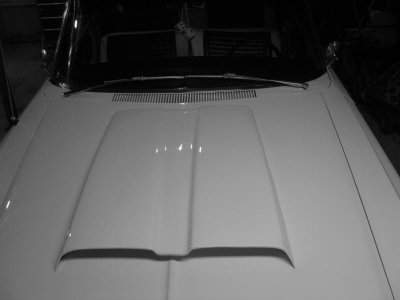 IMG_1887.jpg
