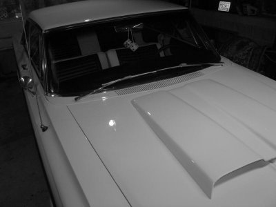 IMG_1891.jpg