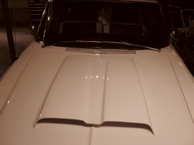 IMG_1908.jpg