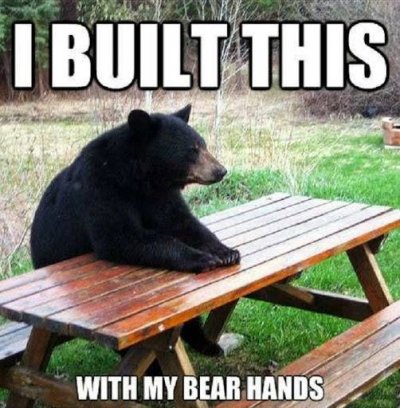 bear.jpg