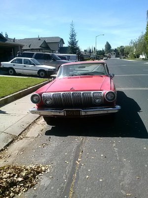 CAM00389.jpg